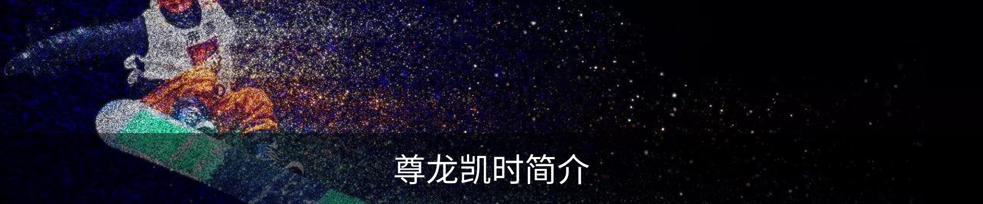 尊龙凯时简介